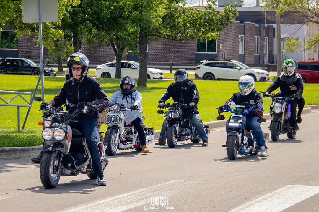 Post 3 by Paws To The Pedal on Instagram (image)