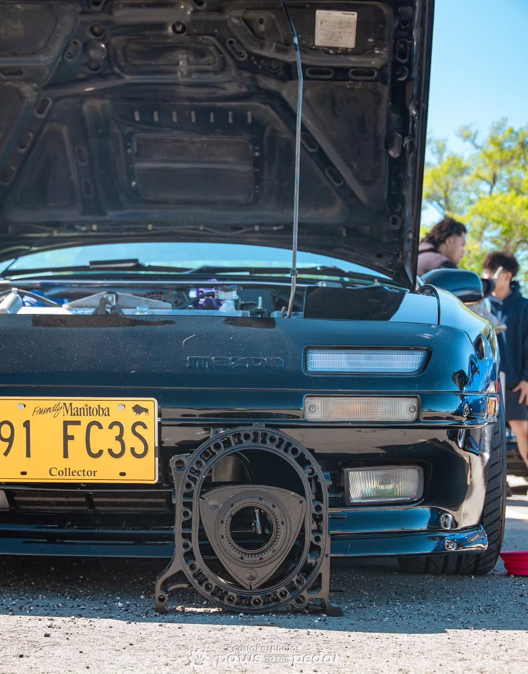 Post 1 by Paws To The Pedal on Instagram (image)