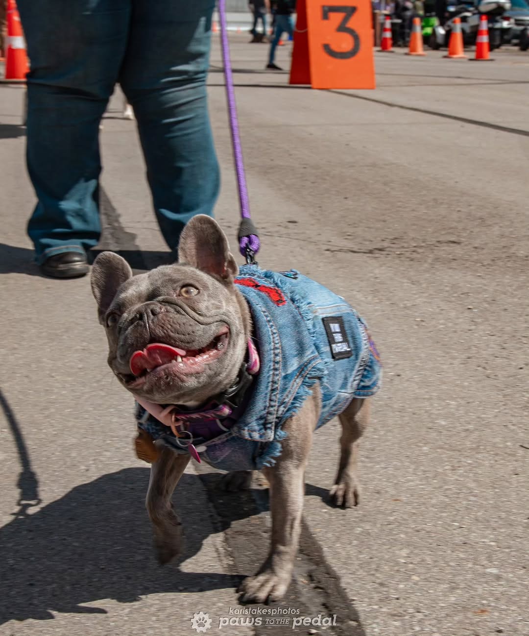 Post 2 by Paws To The Pedal on Instagram (image)