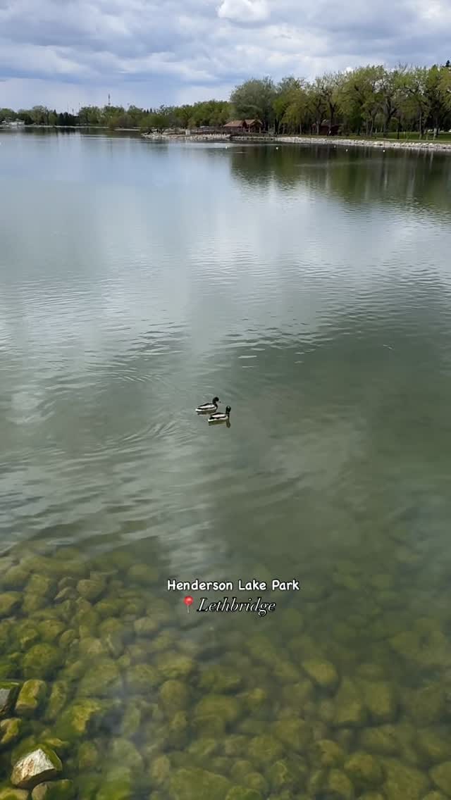 Post 1 by Tanya Serhiichuk •UGC creator on Instagram (video)