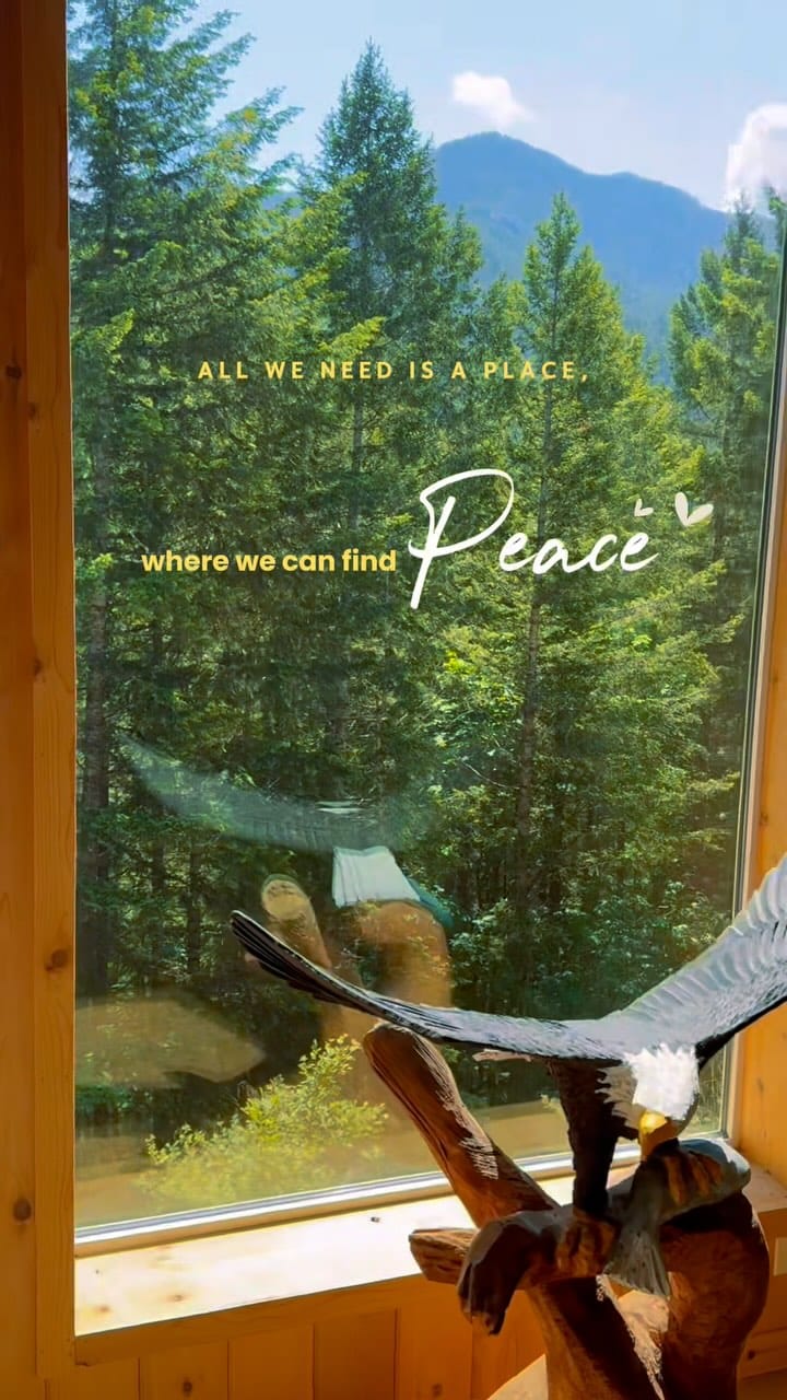 Post 8 by Kelly on Instagram (video)
