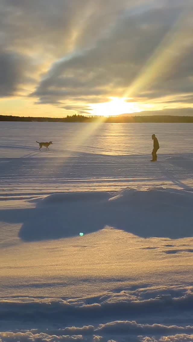 Post 7 by Mark Hogben on Instagram (video)