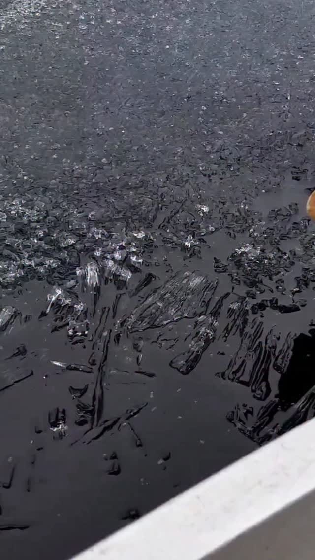 Post 6 by Mark Hogben on Instagram (video)