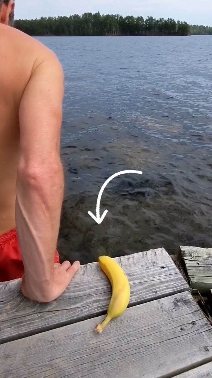 Post 9 by Mark Hogben on Instagram (video)