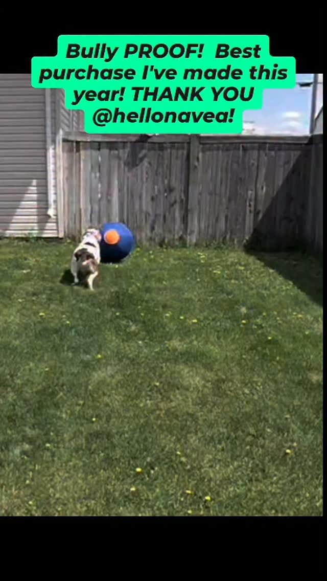 Post 1 by Robin Dodd on Instagram (video)