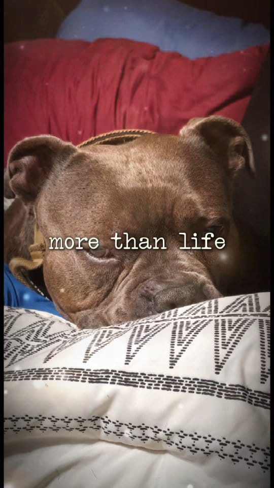 Post 9 by Robin Dodd on Instagram (video)
