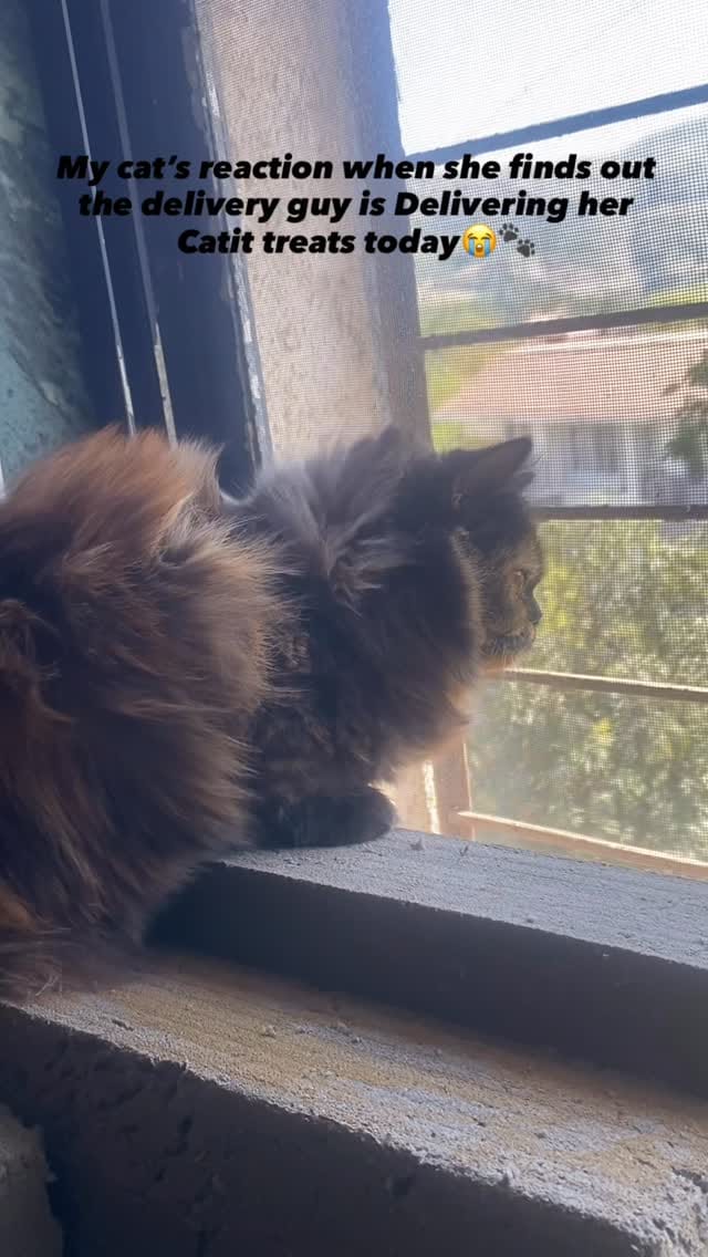 Post 1 by Catit India on Instagram (video)