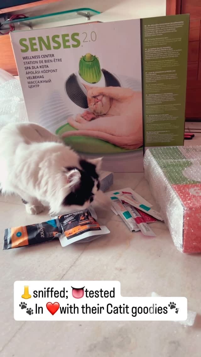 Post 6 by Catit India on Instagram (video)