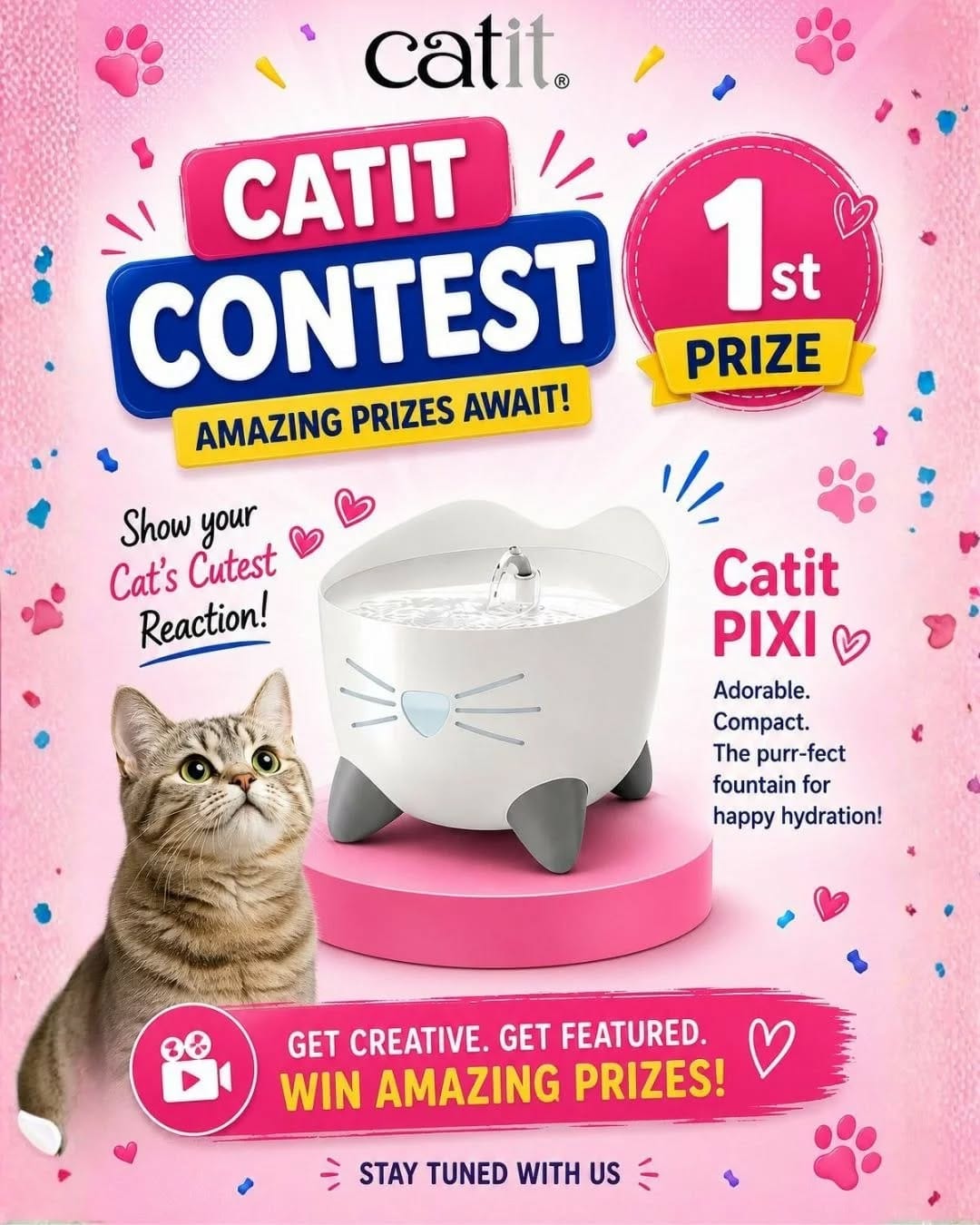 Post 8 by Catit India on Instagram (carousel)