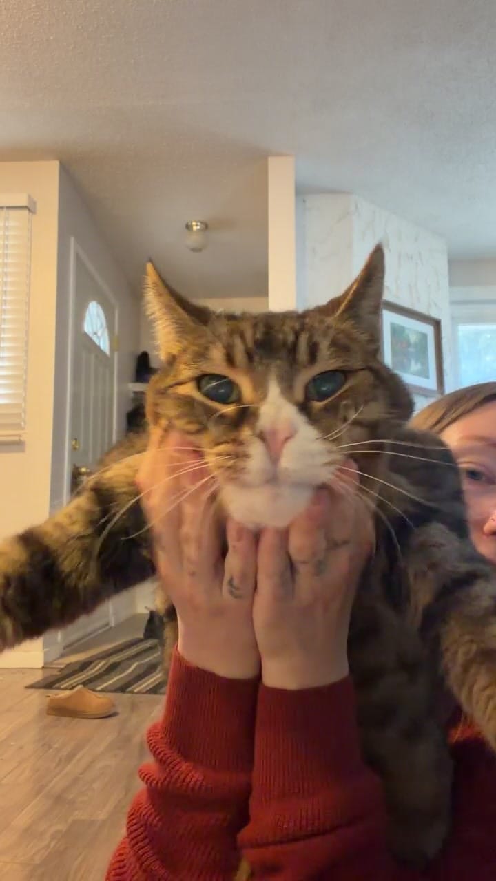 Post 8 by Heather on Instagram (video)