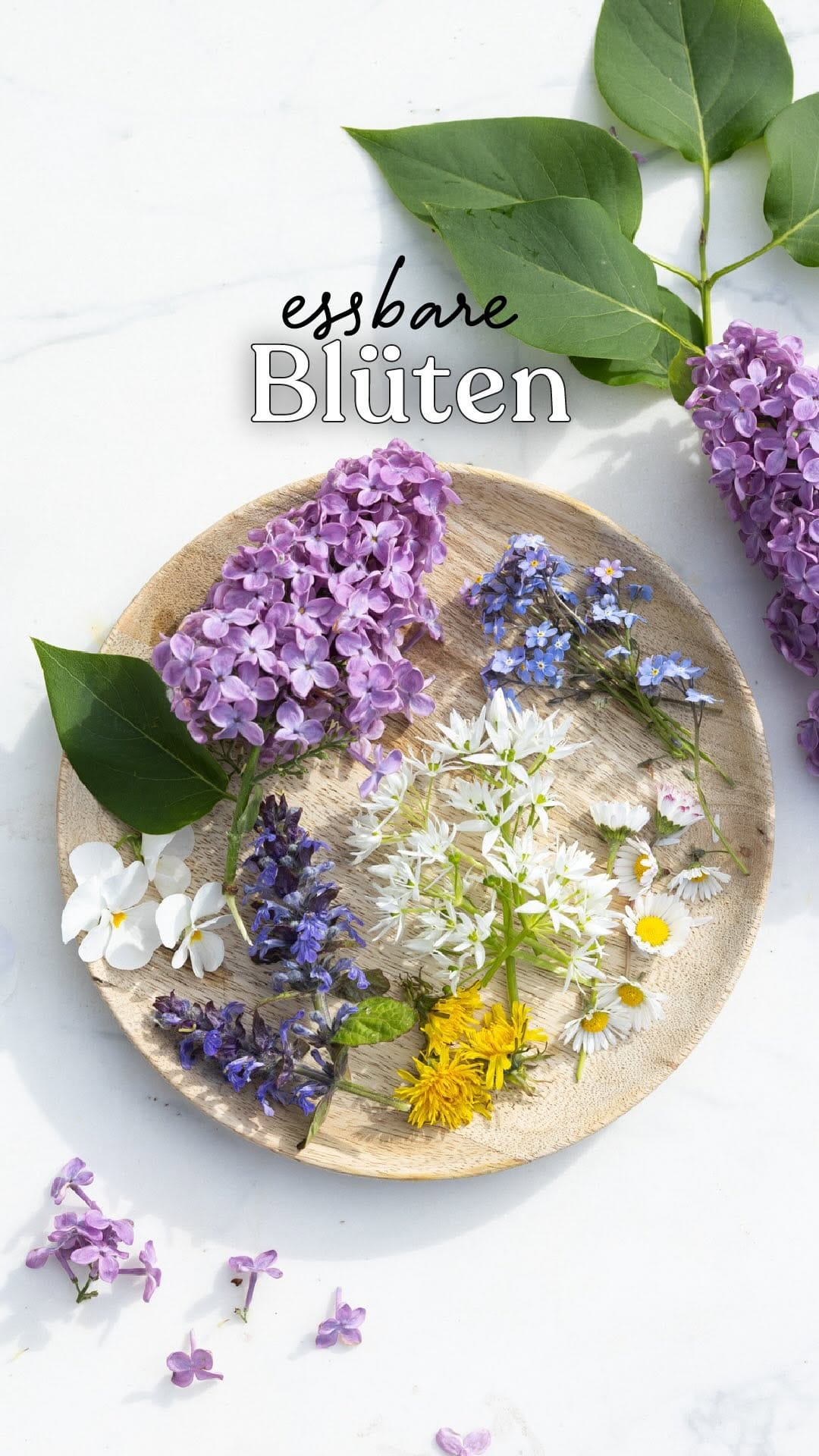 Post 2 by sarah | feiertaeglich foodblog & fotografie on Instagram (video)