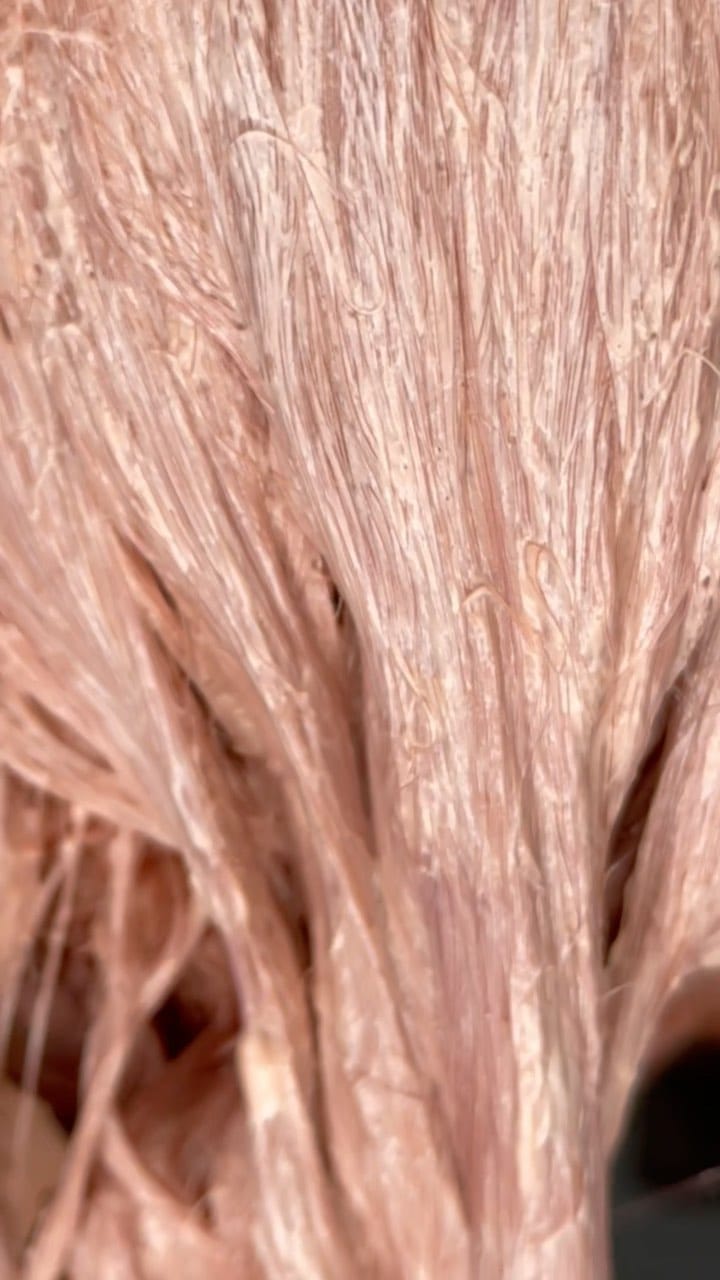 Post 10 by Vanessa Gidden Hairstylist on Instagram (video)