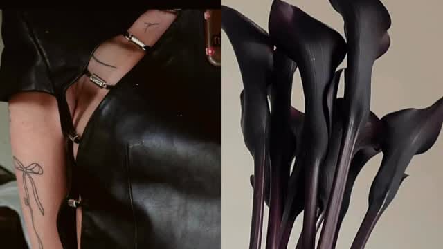 Post 5 by Misty Lola on Instagram (video)