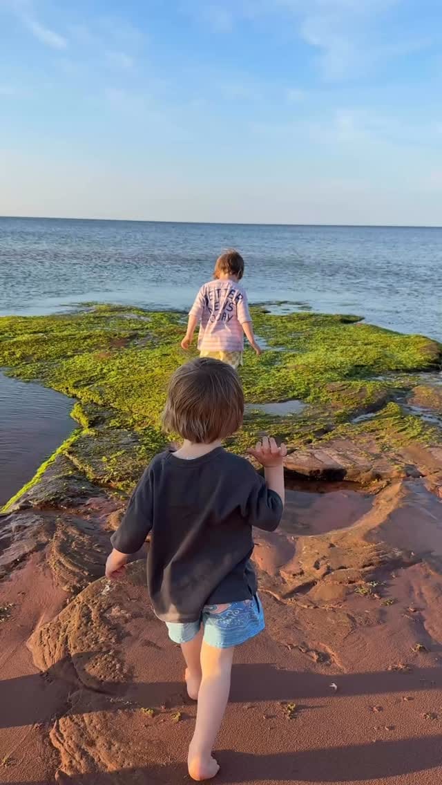 Post 7 by Vanessa Sylvain Artist on Instagram (video)