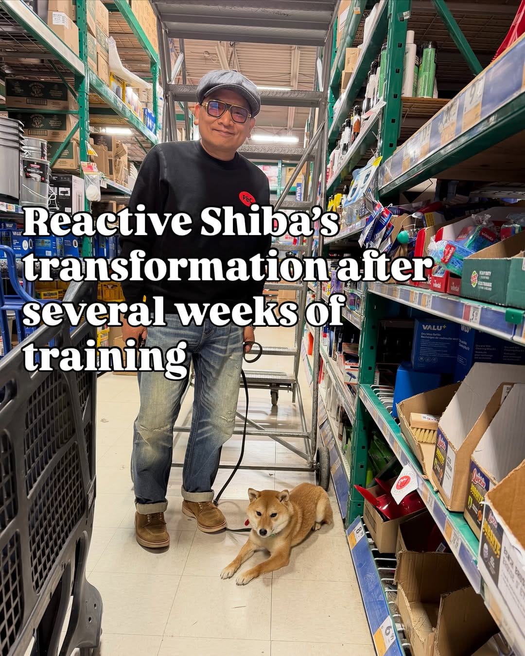 Post 1 by Dog Reactivity & Anxiety Specialist | Richard Chan on Instagram (carousel)