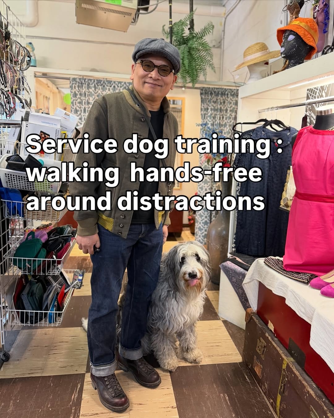 Post 5 by Dog Reactivity & Anxiety Specialist | Richard Chan on Instagram (carousel)
