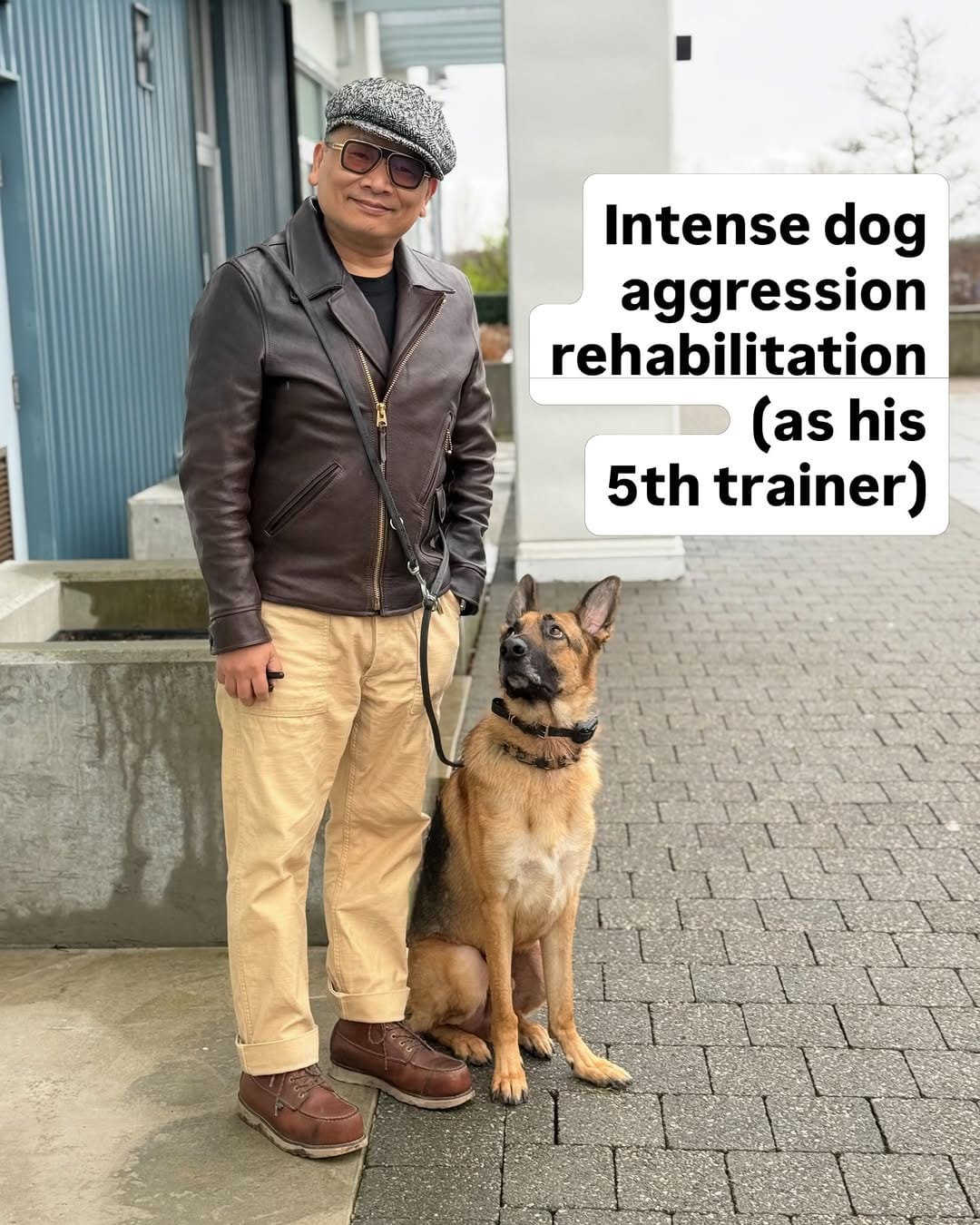 Post 6 by Dog Reactivity & Anxiety Specialist | Richard Chan on Instagram (carousel)
