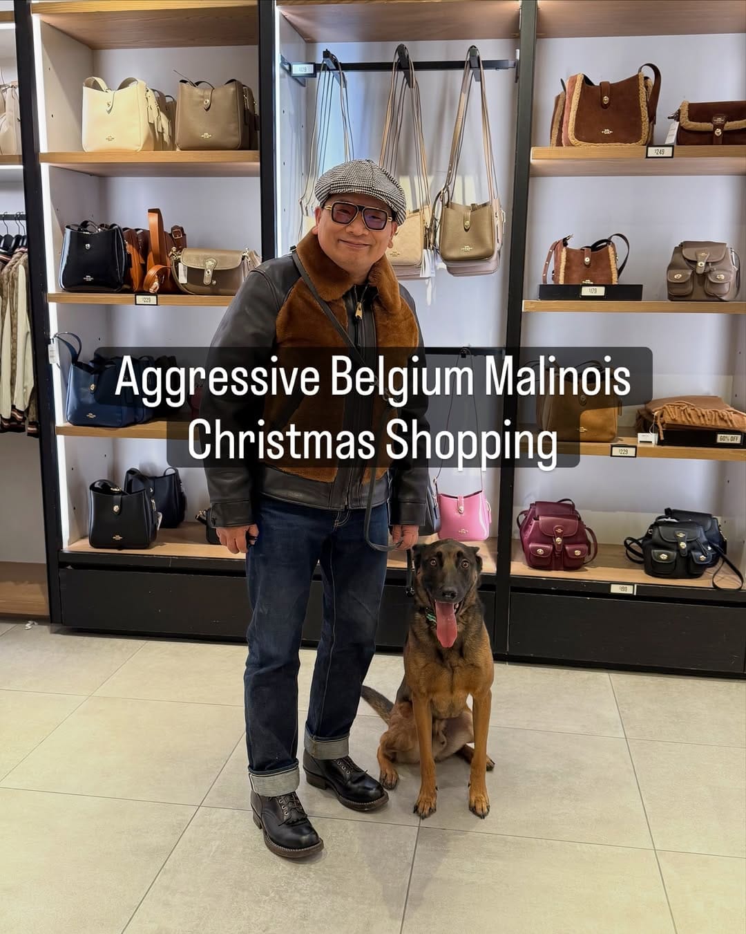Post 9 by Dog Reactivity & Anxiety Specialist | Richard Chan on Instagram (carousel)