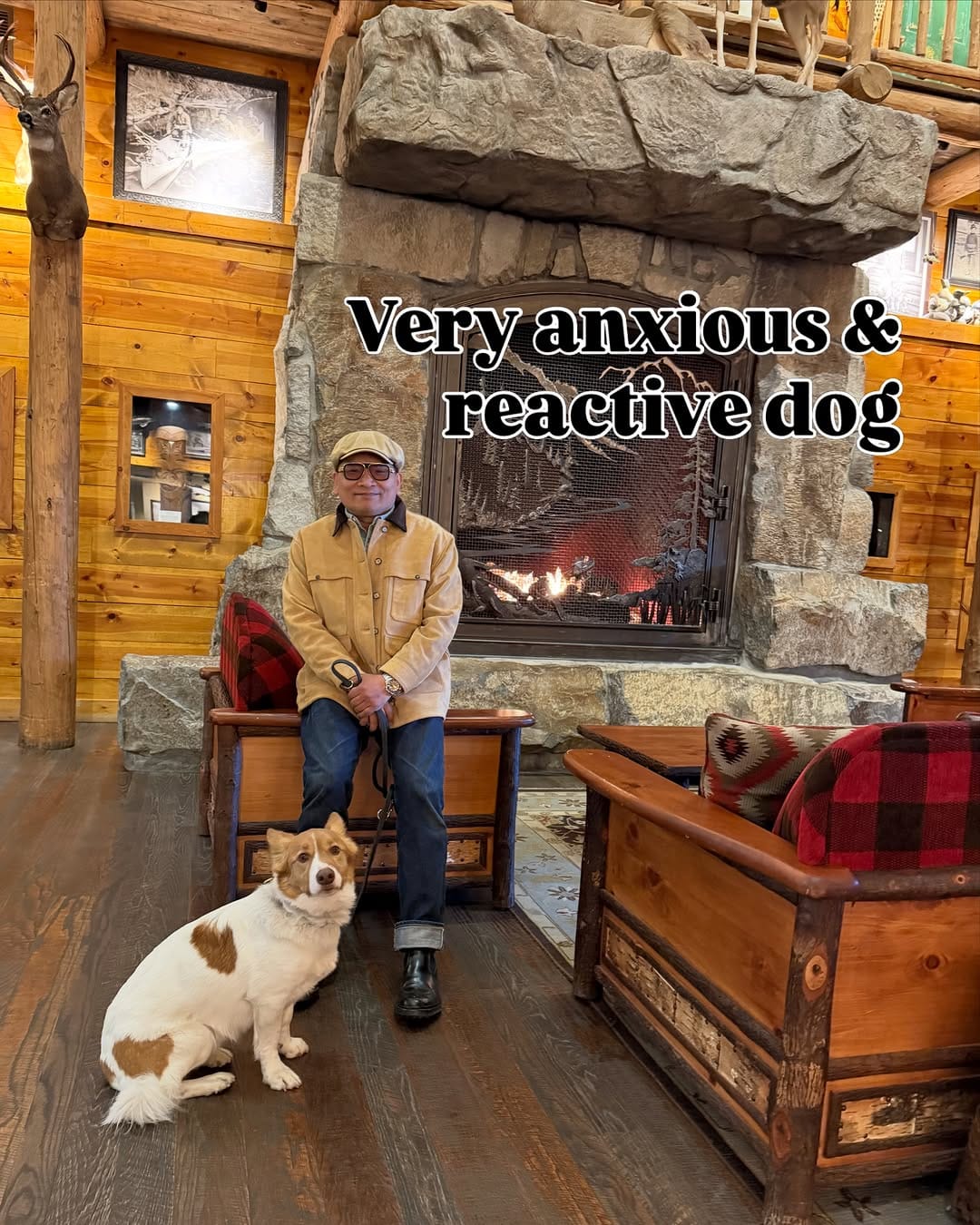 Post 2 by Dog Reactivity & Anxiety Specialist | Richard Chan on Instagram (carousel)