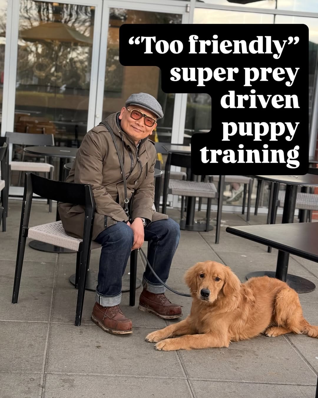 Post 7 by Dog Reactivity & Anxiety Specialist | Richard Chan on Instagram (carousel)