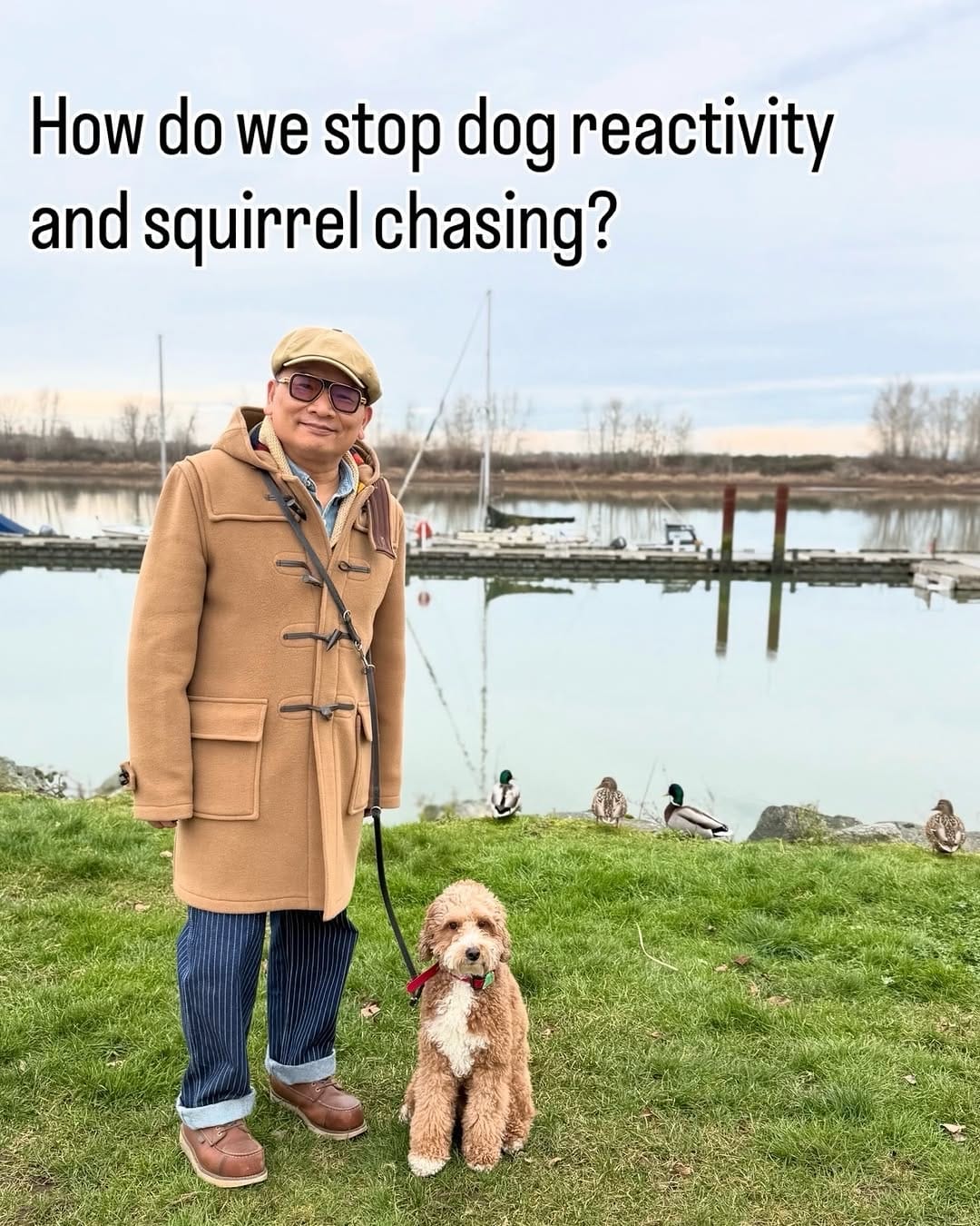 Post 8 by Dog Reactivity & Anxiety Specialist | Richard Chan on Instagram (carousel)