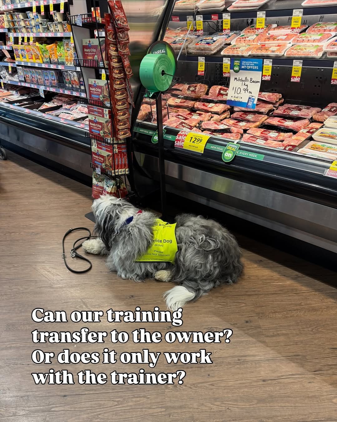 Post 4 by Dog Reactivity & Anxiety Specialist | Richard Chan on Instagram (carousel)