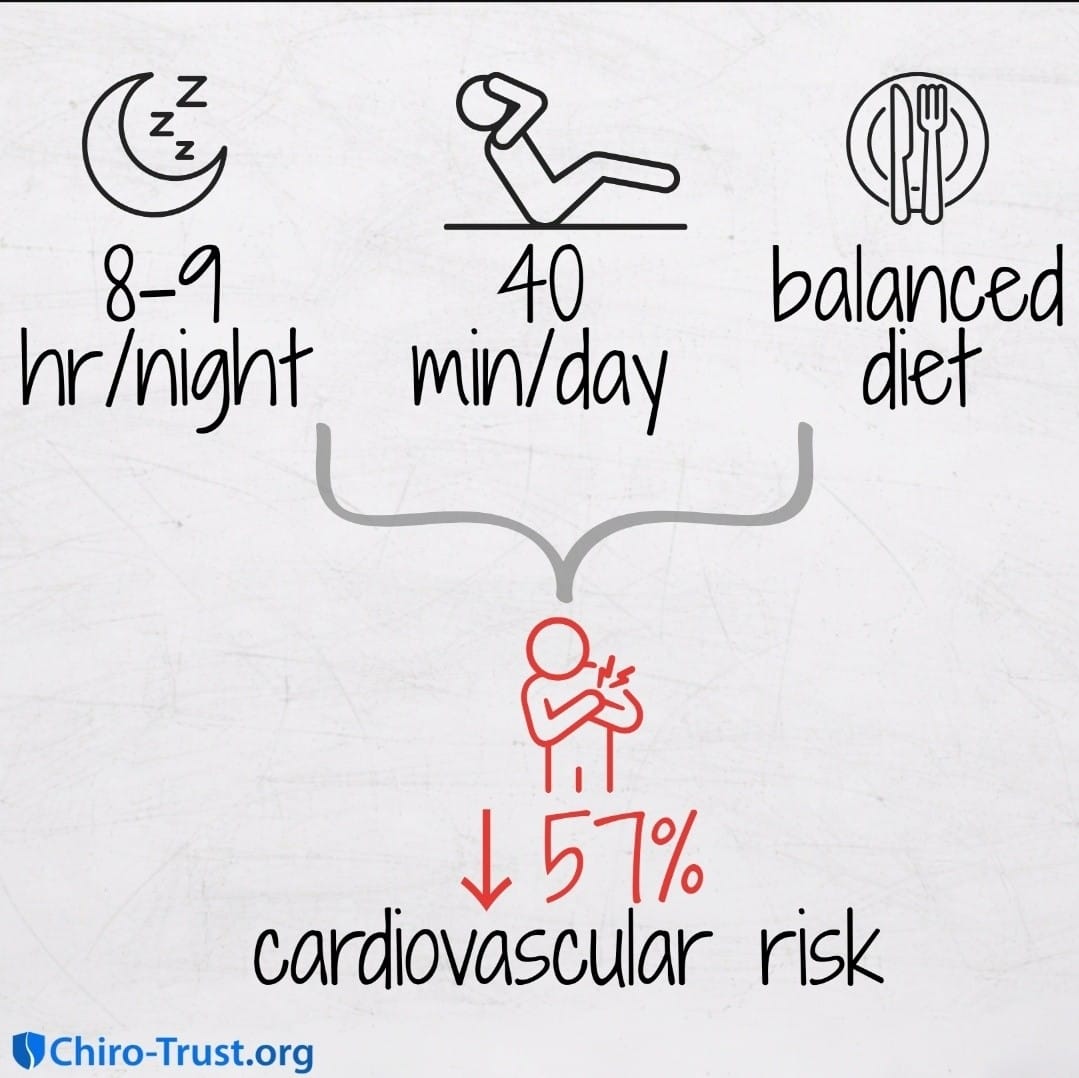 Post 9 by Dr. David Koivuranta on Instagram (image)