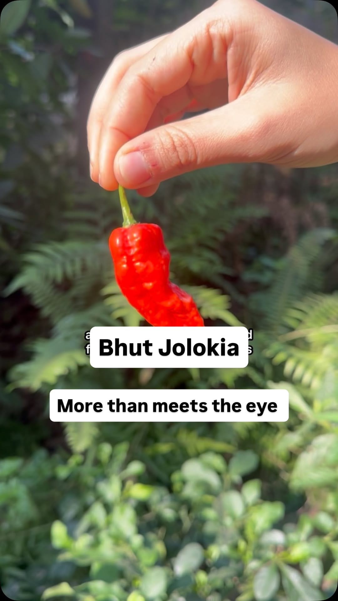 Post 7 by Dr. Poorvi Bhat | nutrition & wellness on Instagram (video)