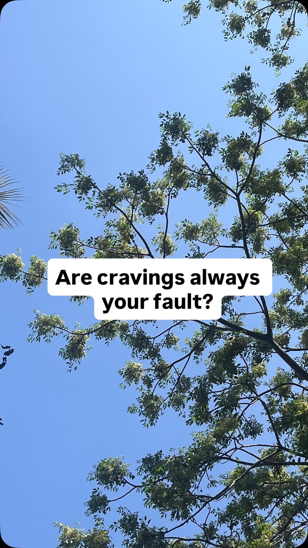 Post 4 by Dr. Poorvi Bhat | nutrition & wellness on Instagram (video)