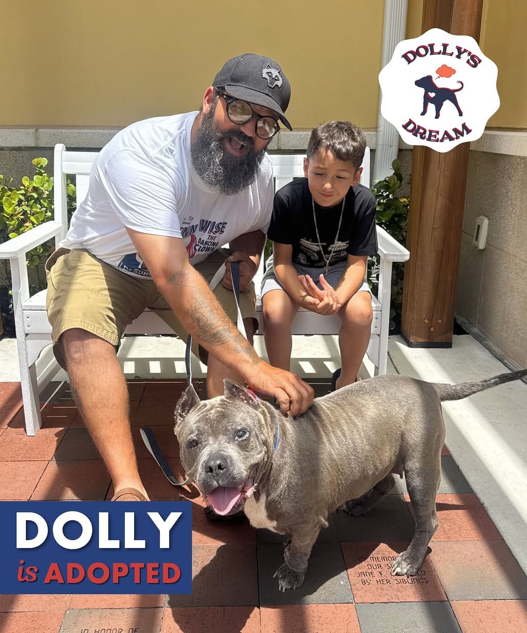 Post 3 by Dolly's Dream | Pitbull Rescue Program on Instagram (image)