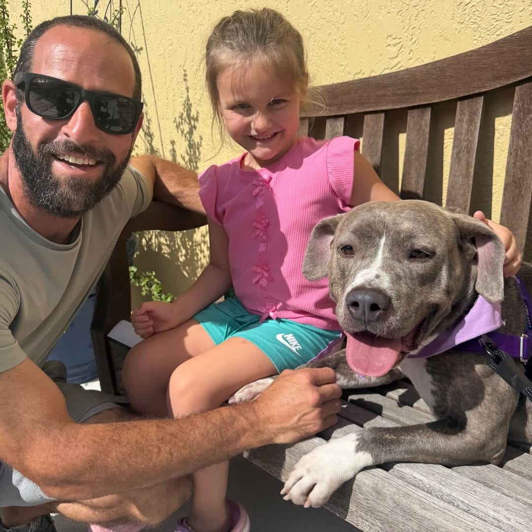 Post 4 by Dolly's Dream | Pitbull Rescue Program on Instagram (image)