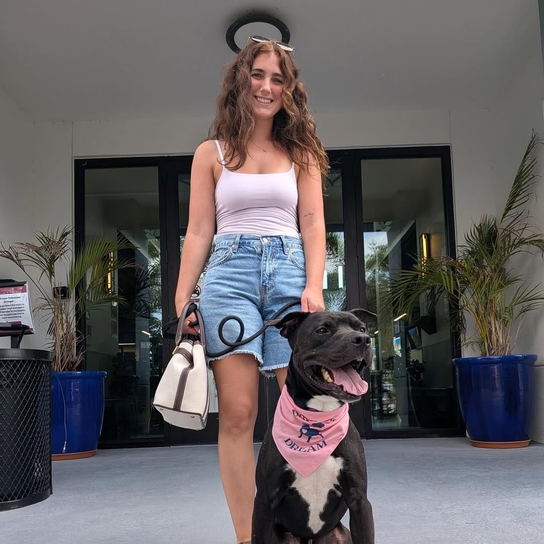 Post 10 by Dolly's Dream | Pitbull Rescue Program on Instagram (image)