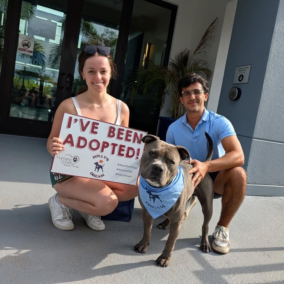 Post 1 by Dolly's Dream | Pitbull Rescue Program on Instagram (image)