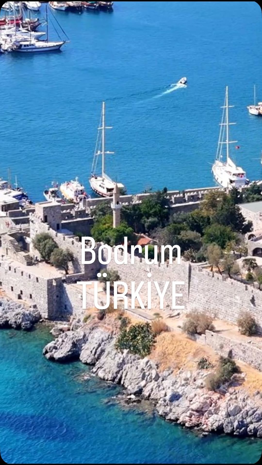 Post 2 by Best in Around on Instagram (video)