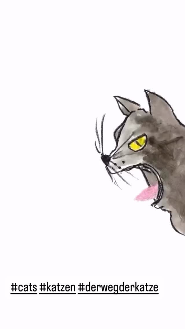 Post 6 by Doris Dörrie on Instagram (video)