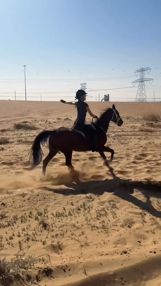 Post 6 by Alina B on Instagram (video)