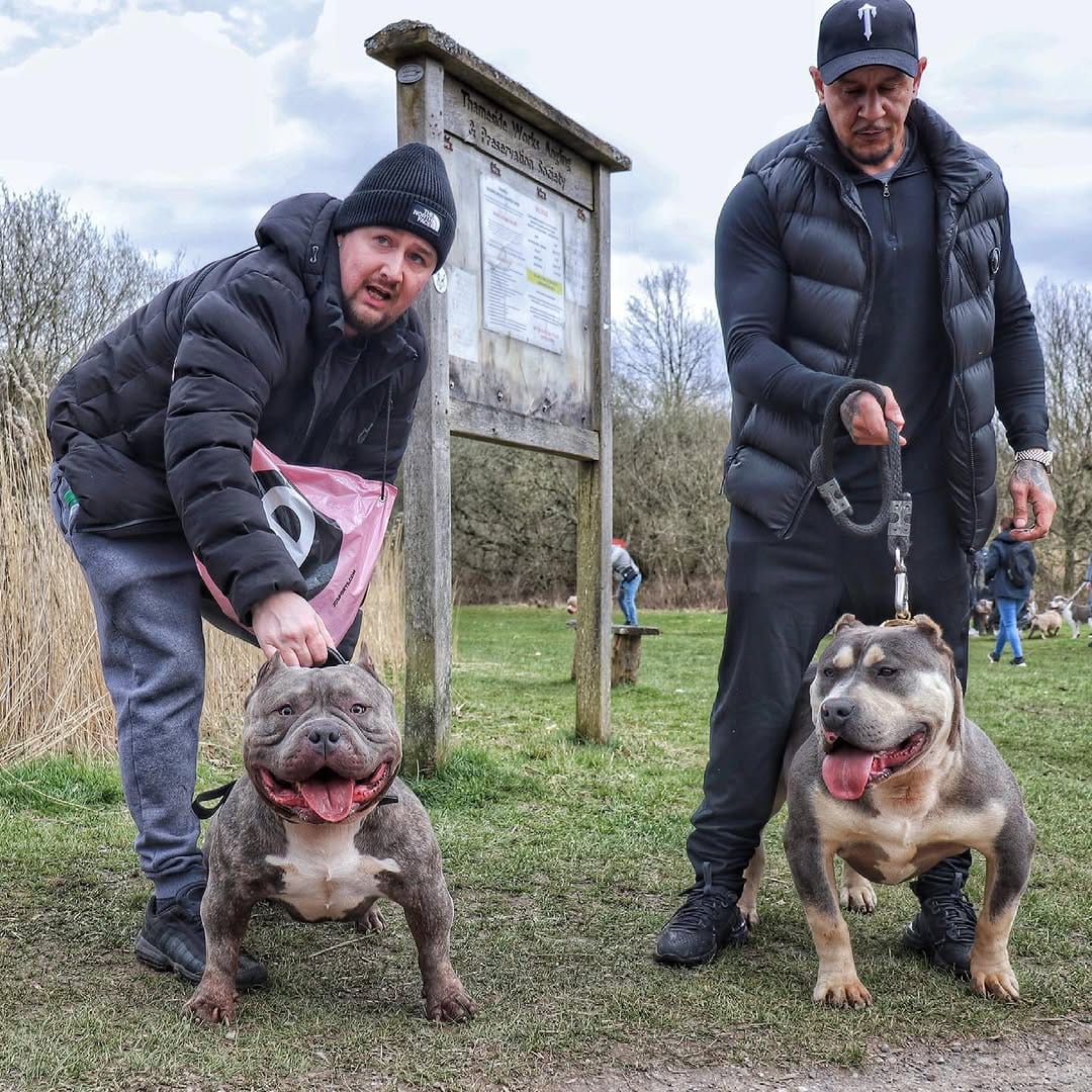 Post 8 by Dan®. 🇬🇧🇬🇧 on Instagram (image)