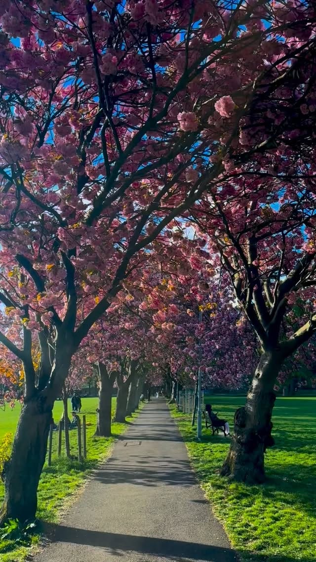 Post 5 by Edinburgh By Hidden Edinburgh on Instagram (video)