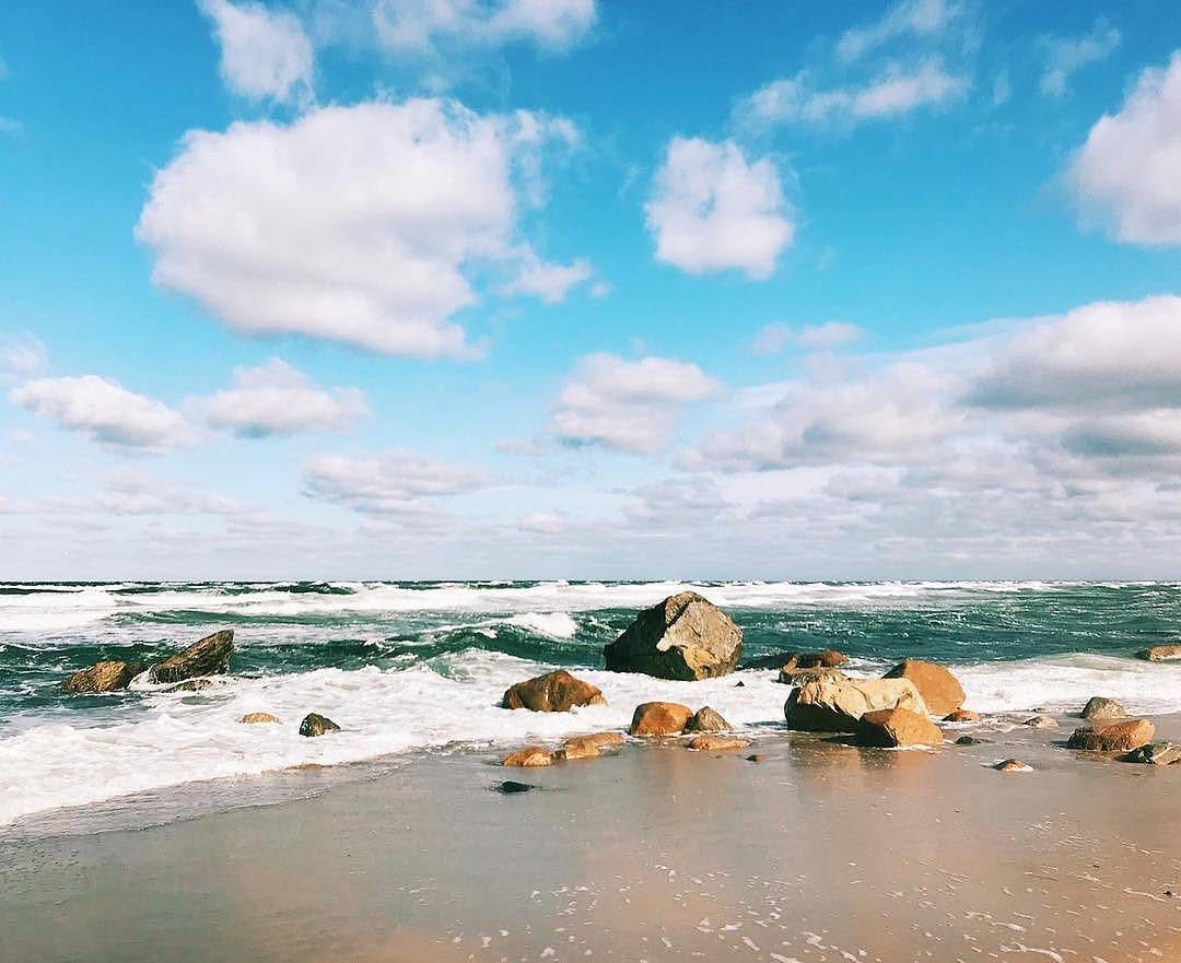 Post 5 by New England Sparrow on Instagram (image)