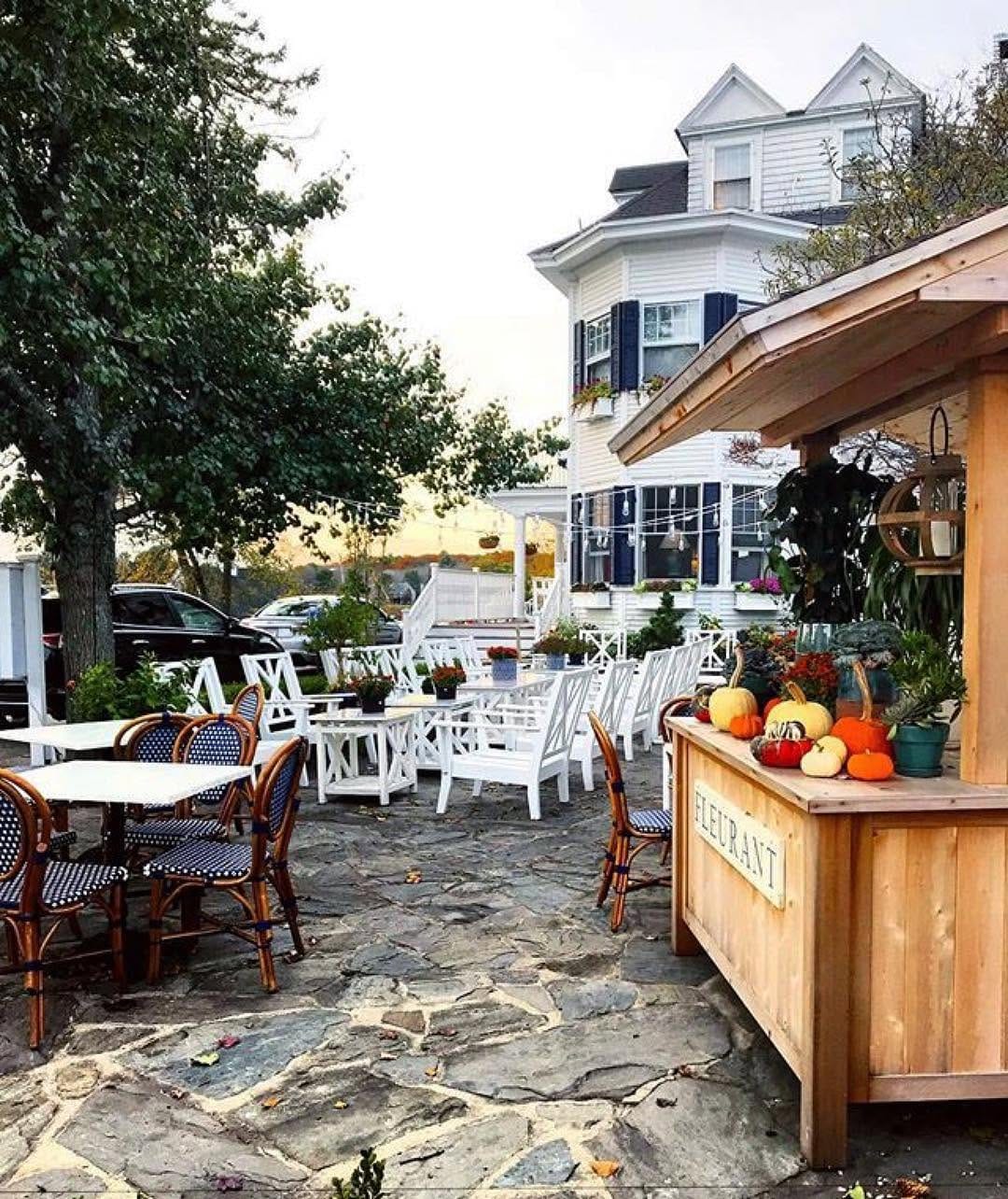 Post 10 by New England Sparrow on Instagram (image)