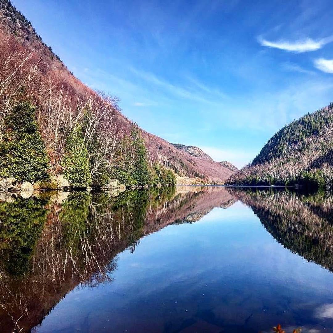 Post 8 by New England Sparrow on Instagram (image)