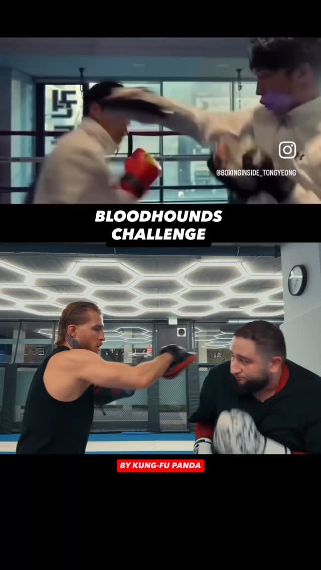 Post 5 by 𝗛𝗜𝗖𝗛𝗔𝗠 𝗢𝗠𝗔𝗬𝗥𝗔𝗧 on Instagram (video)