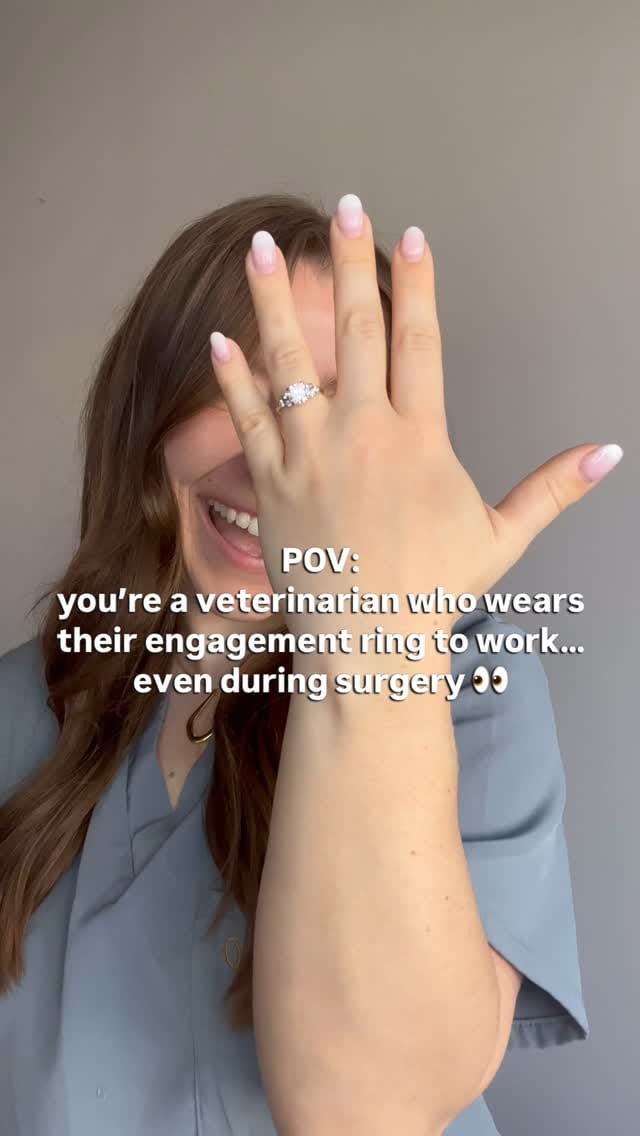 Post 3 by Amanda | veterinarian on Instagram (video)