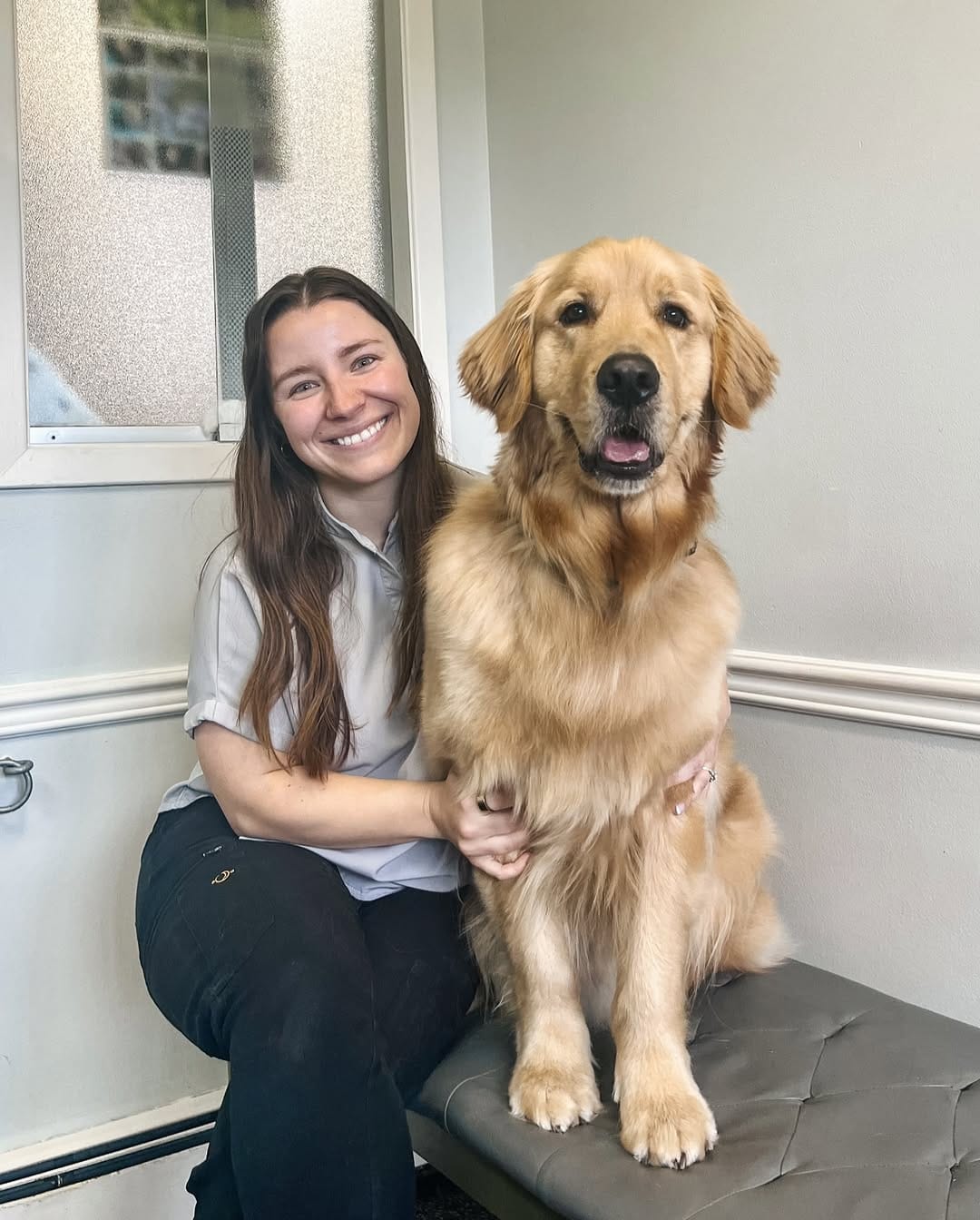 Post 2 by Amanda | veterinarian on Instagram (image)