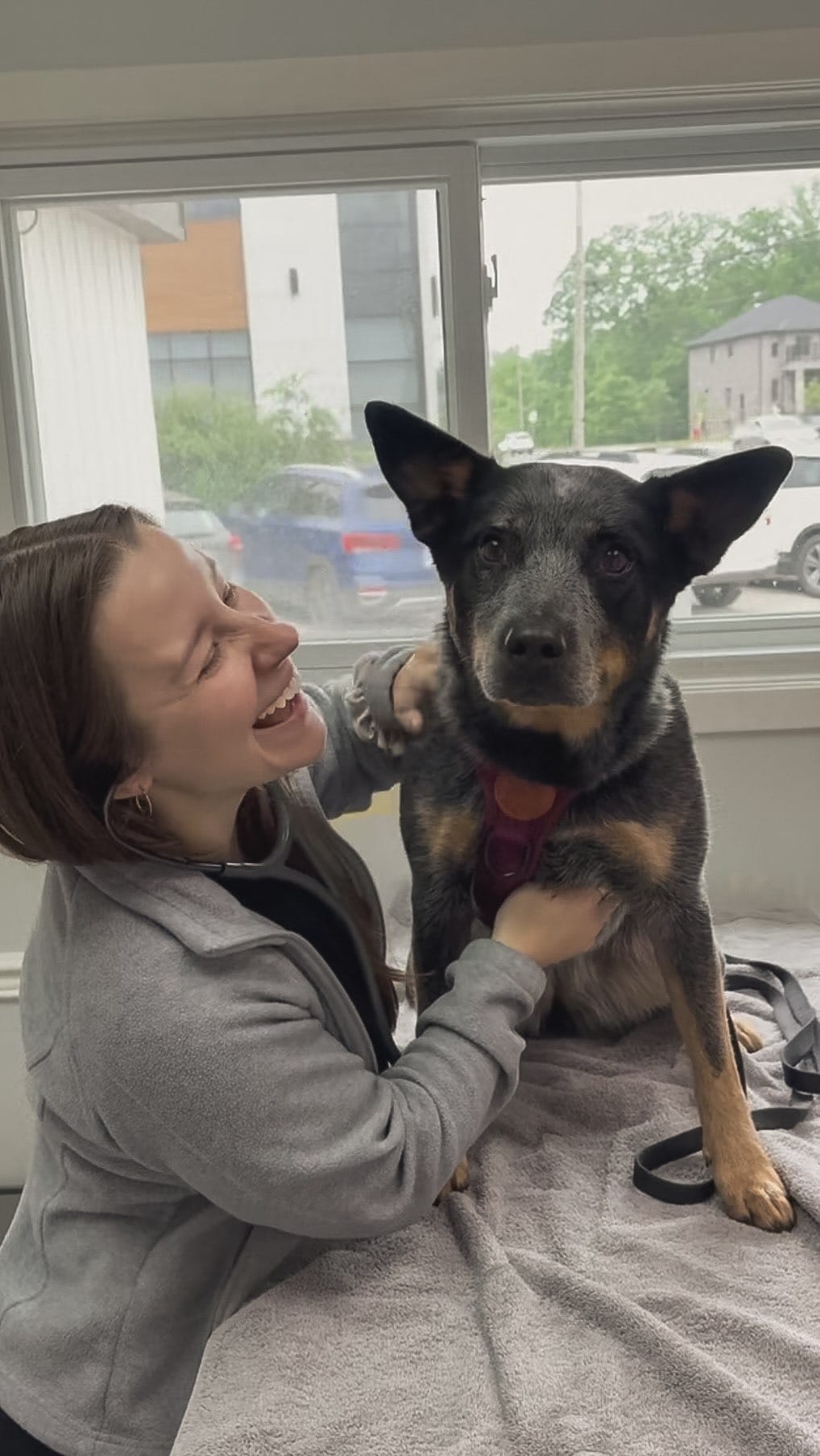 Post 1 by Amanda | veterinarian on Instagram (video)