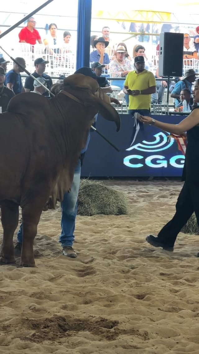 Post 2 by Centro Genético Villa Carmen - on Instagram (video)