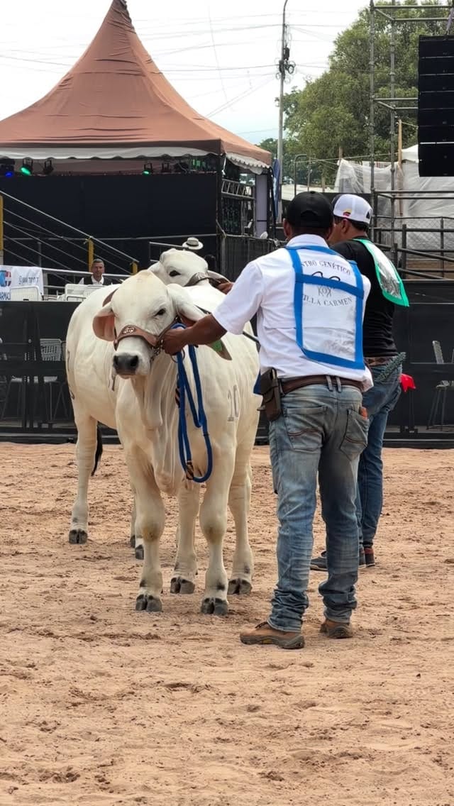 Post 8 by Centro Genético Villa Carmen - on Instagram (video)
