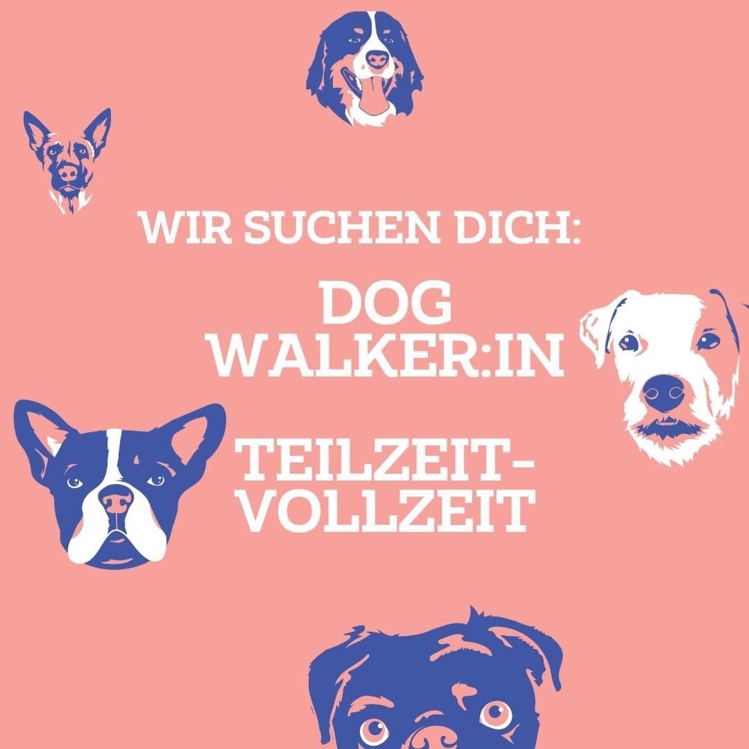 Post 6 by Cookie And Friends Berlin on Instagram (carousel)