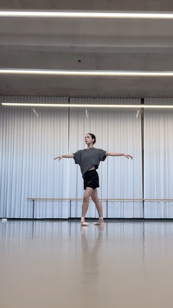 Post 9 by Ruth Schultz on Instagram (video)