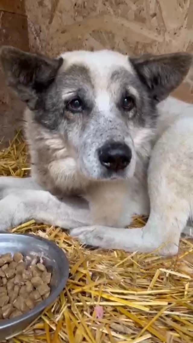 Post 9 by Anja Plötze on Instagram (video)